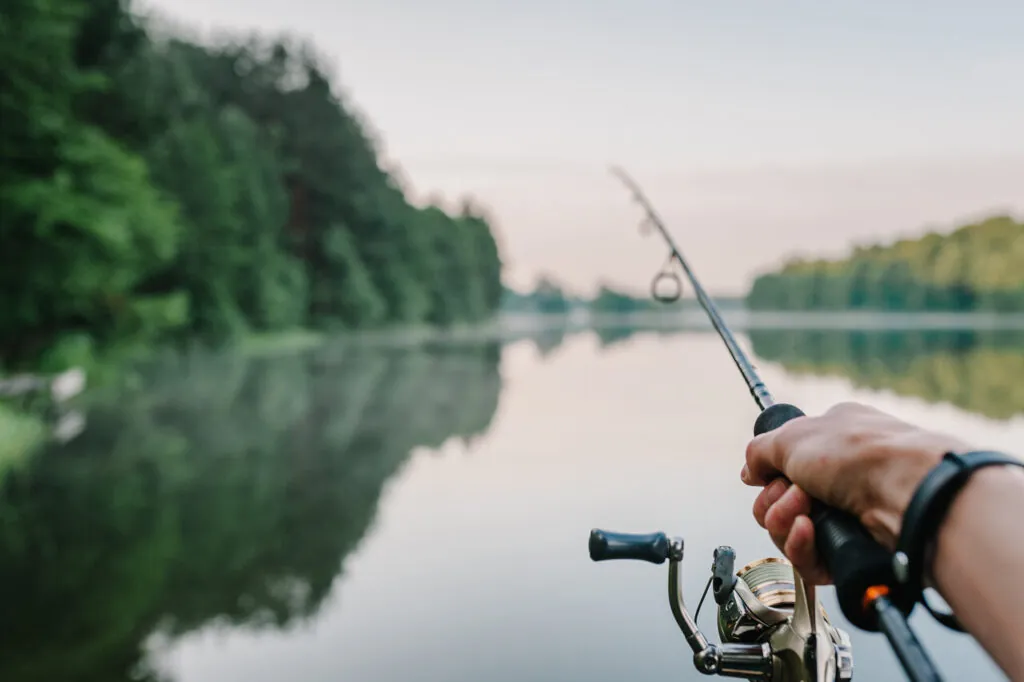 qual a melhor vara de pesca