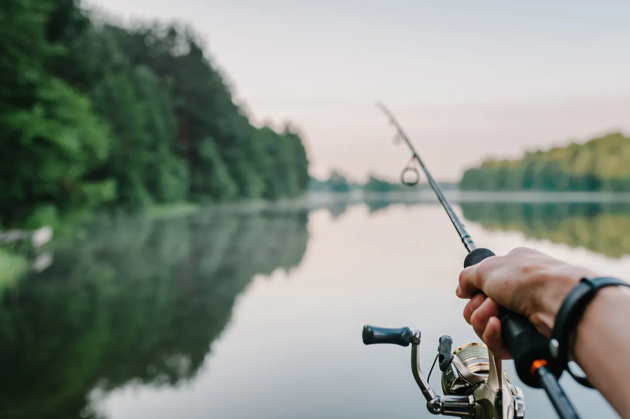 Qual a melhor vara de pesca